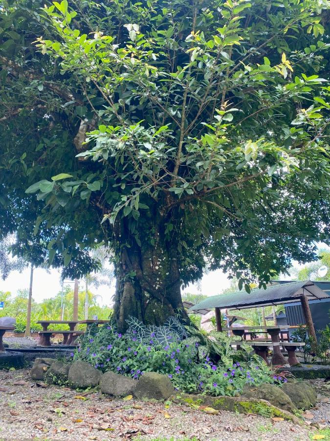 Termales Del Arenal Hotel La Fortuna Екстериор снимка